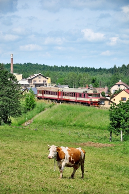 Klikněte pro zobrazení původního (velkého) obrázku