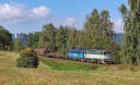 750213-12B750287-5_Brezova_u_Broumova_22_09_2010.jpg