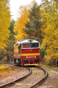 Název souboru=750308_Libun_2015-10-27_DSC_7240.jpg
Velikost souboru=385KB
Rozměry=680x1024
Datum přidání=06. Září 2017 750308_Libun_2015-10-27_DSC_7240.jpg